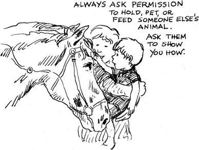 how to pet a horse