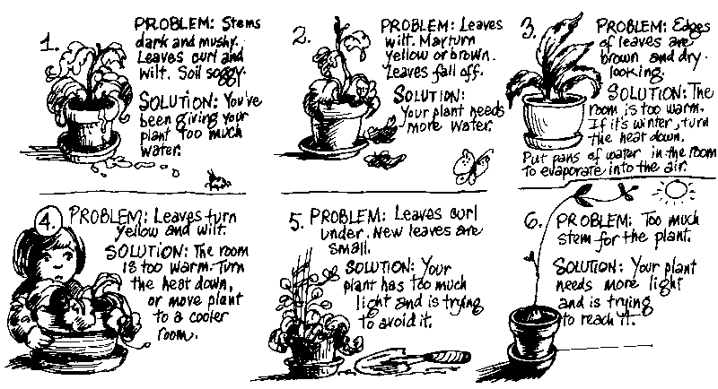 plant doctor illustration