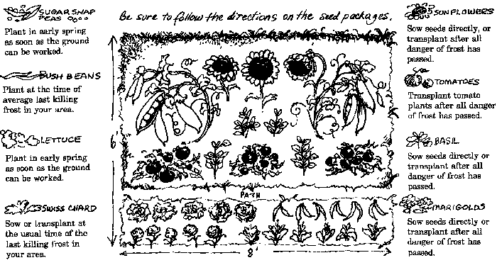 a garden plan illustration