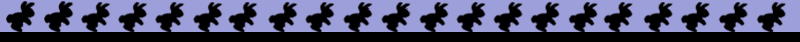 Bunny Rabbit Banner