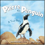 Pierre the Penguin